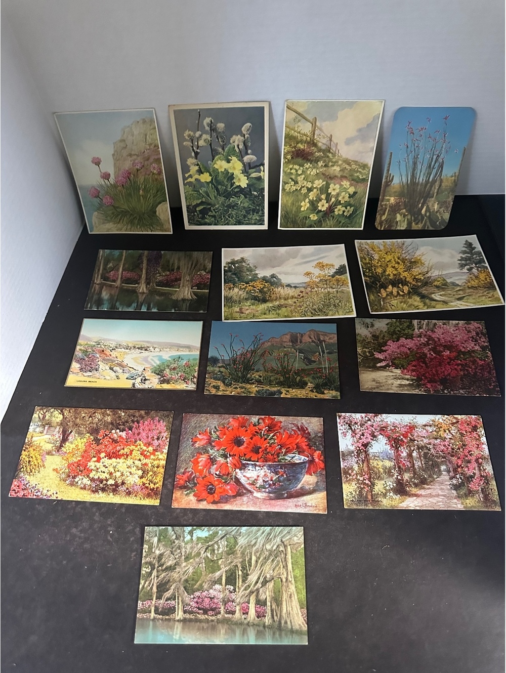 Vintage Postcard Lot 14 Flowers Gardens Hand Colored Scenic Views #3